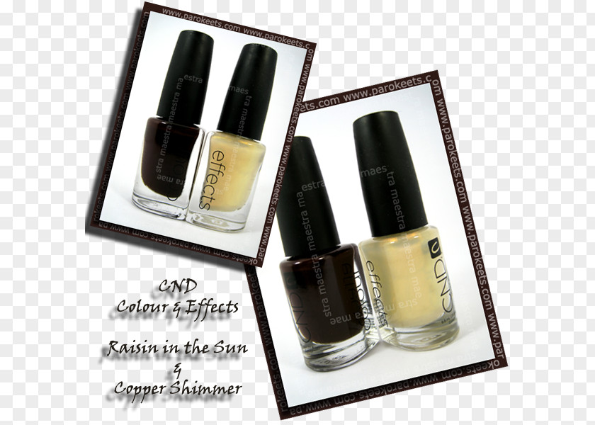 Sunlight Effects Nail Polish Product PNG