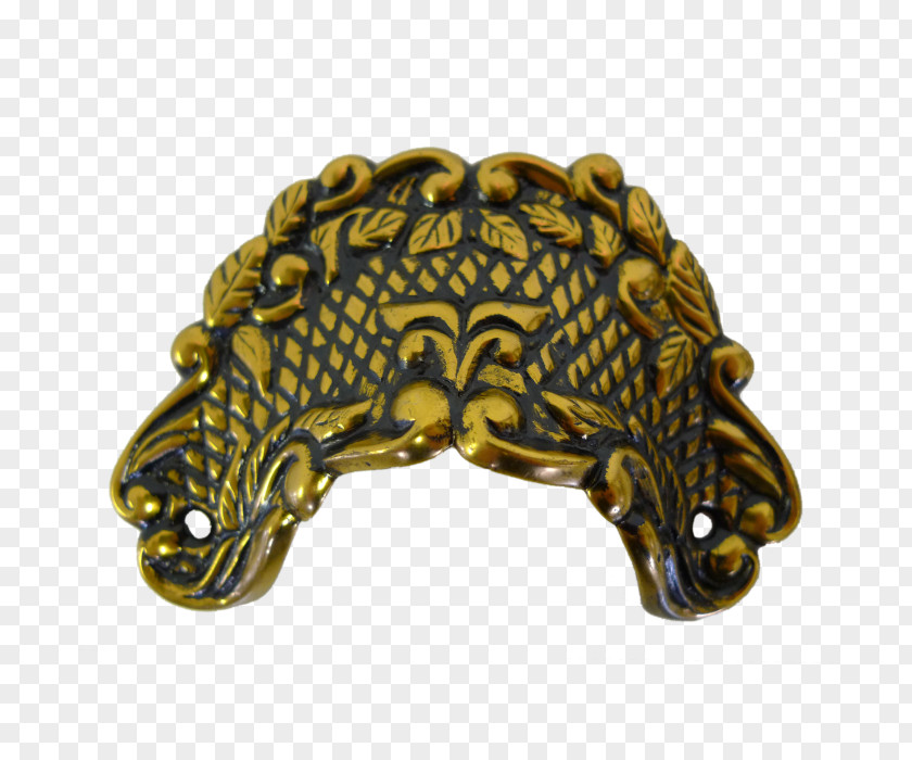 Black X Chin Amphibian 01504 Bronze PNG