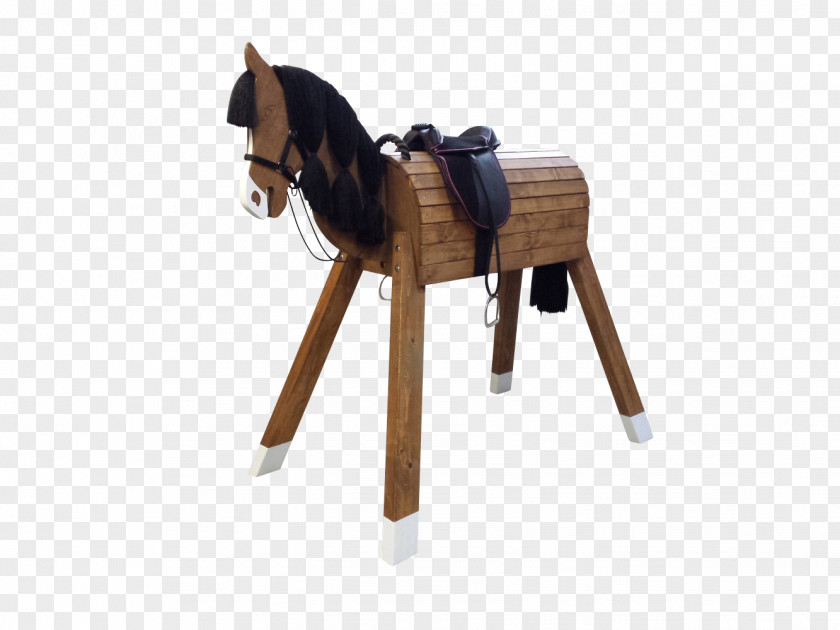 FANTASTICO Holsteiner Pony Stallion Bridle Saddle PNG