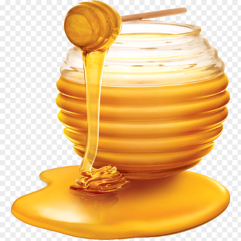 Honey Western Bee Clip Art PNG