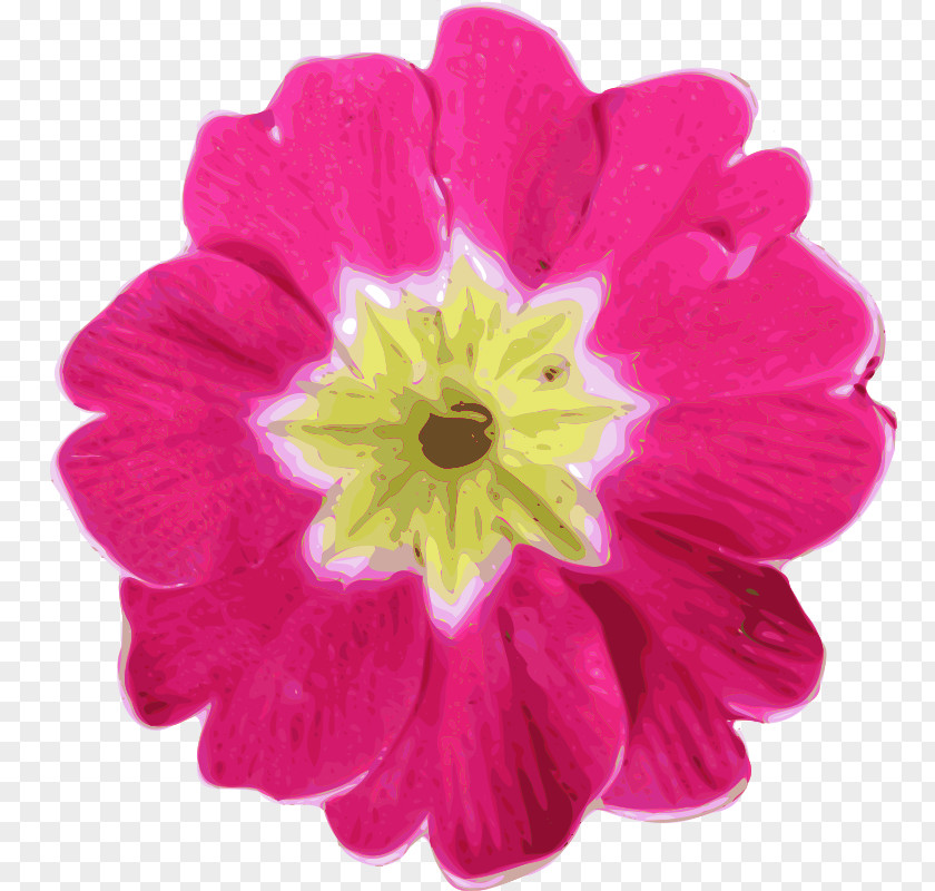 Open Flowers Pink Free Clip Art PNG
