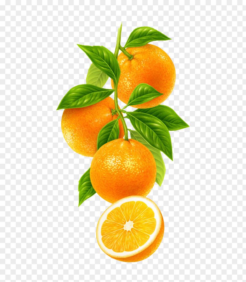 Orange Food PNG