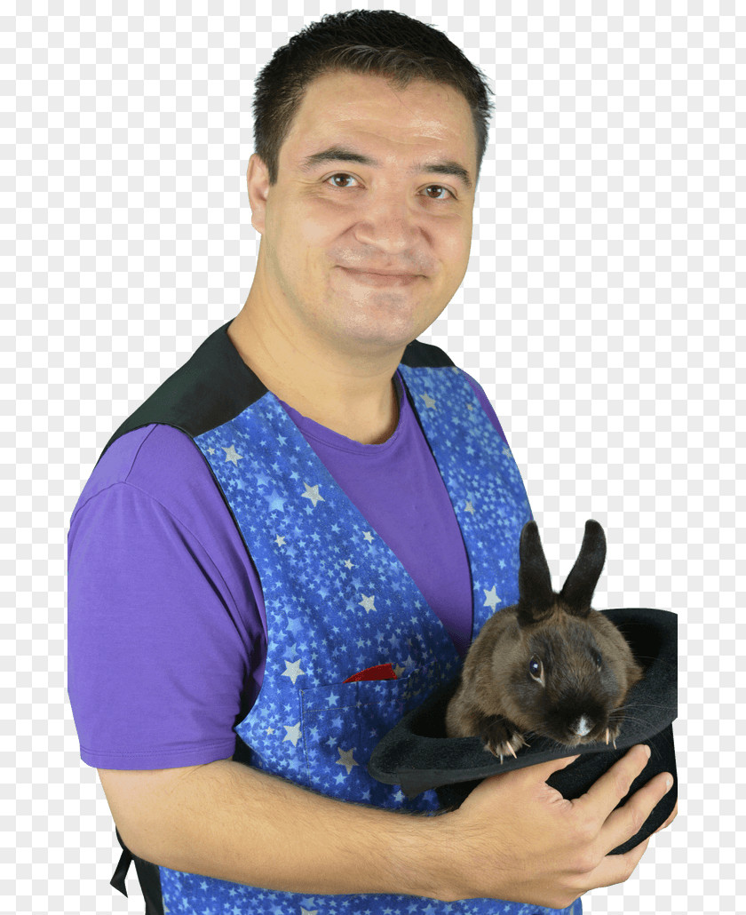 Puppy Dog Breed Mr Wiz The Magician PNG