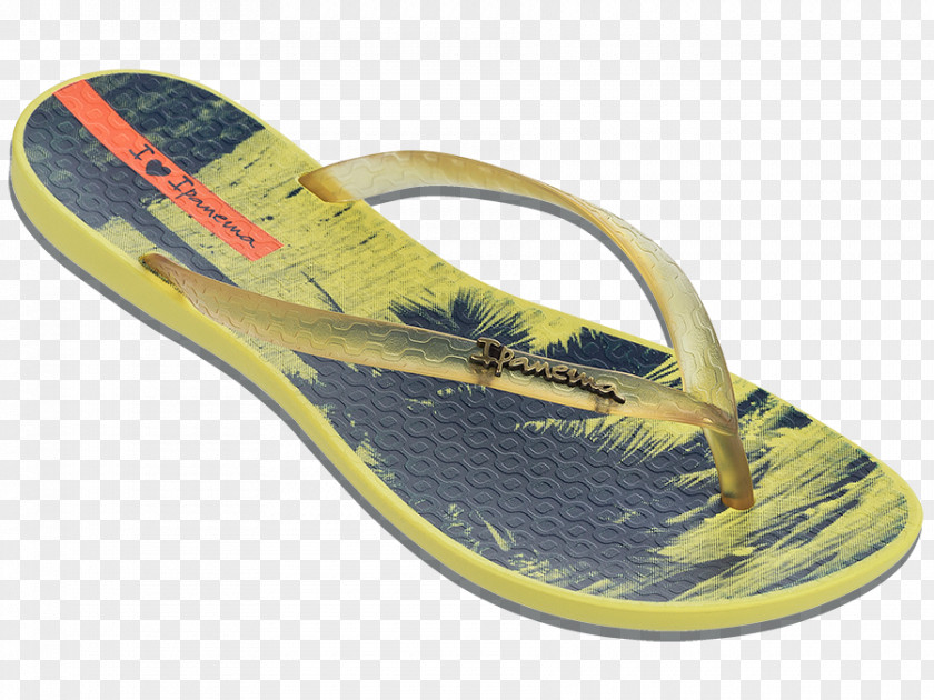Sandal Slipper Ipanema Flip-flops Shoe PNG