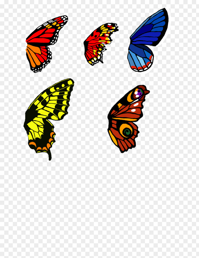 Wings Butterfly Wing Insect Art Painting PNG