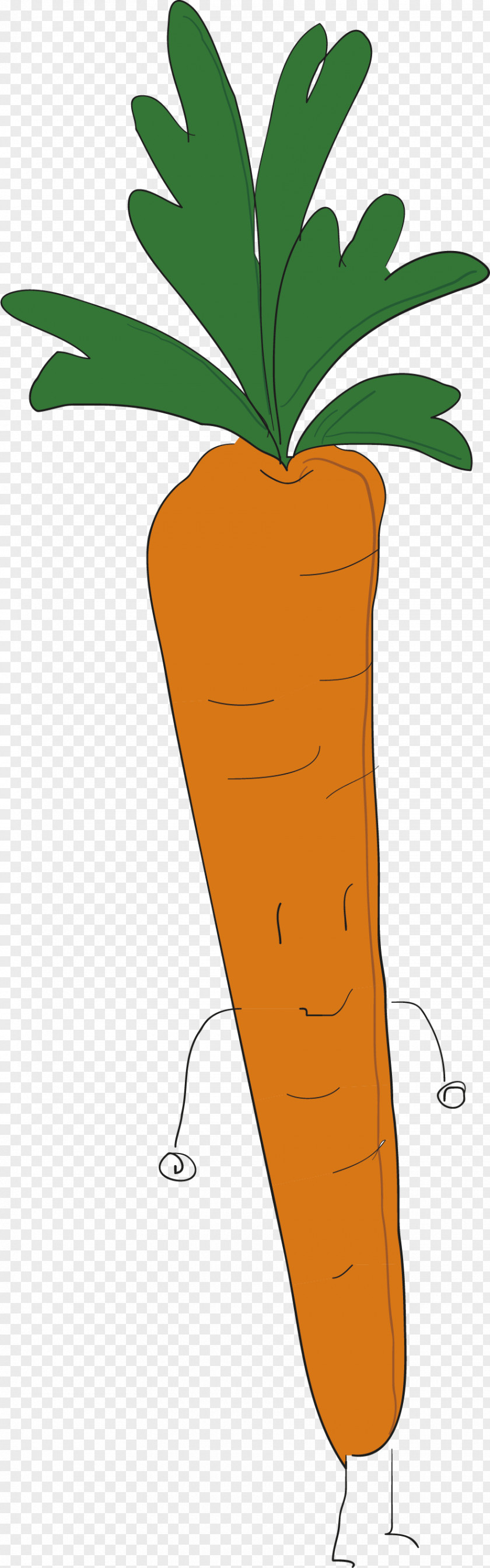 Carrot Vector Juice Vegetable Clip Art PNG
