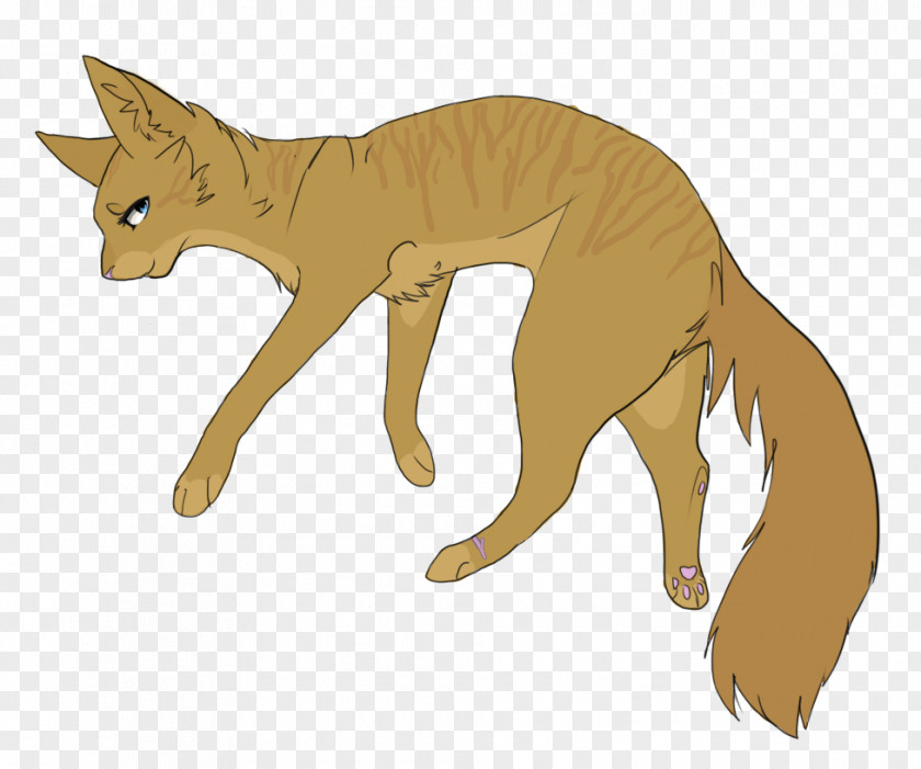 Cat Whiskers Wildcat DeviantArt Red Fox PNG