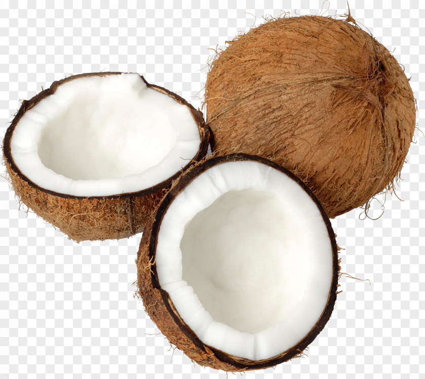 Coconut Image PNG