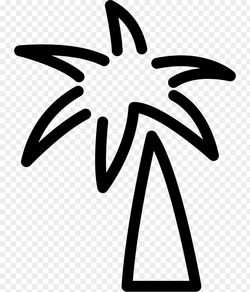 Coconut Water Arecaceae Clip Art PNG