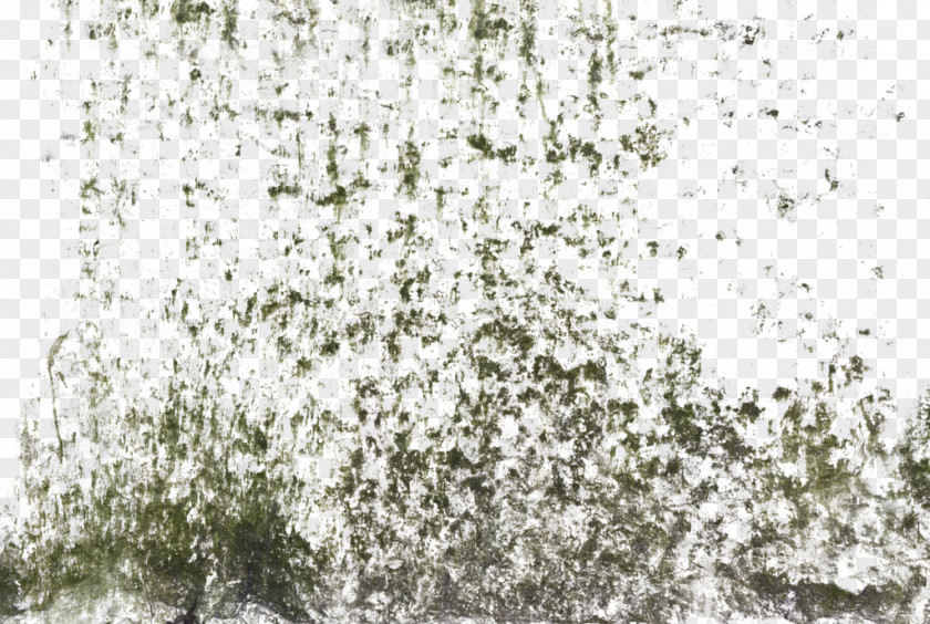 Dirt Texture Digital Image Clip Art Download PNG