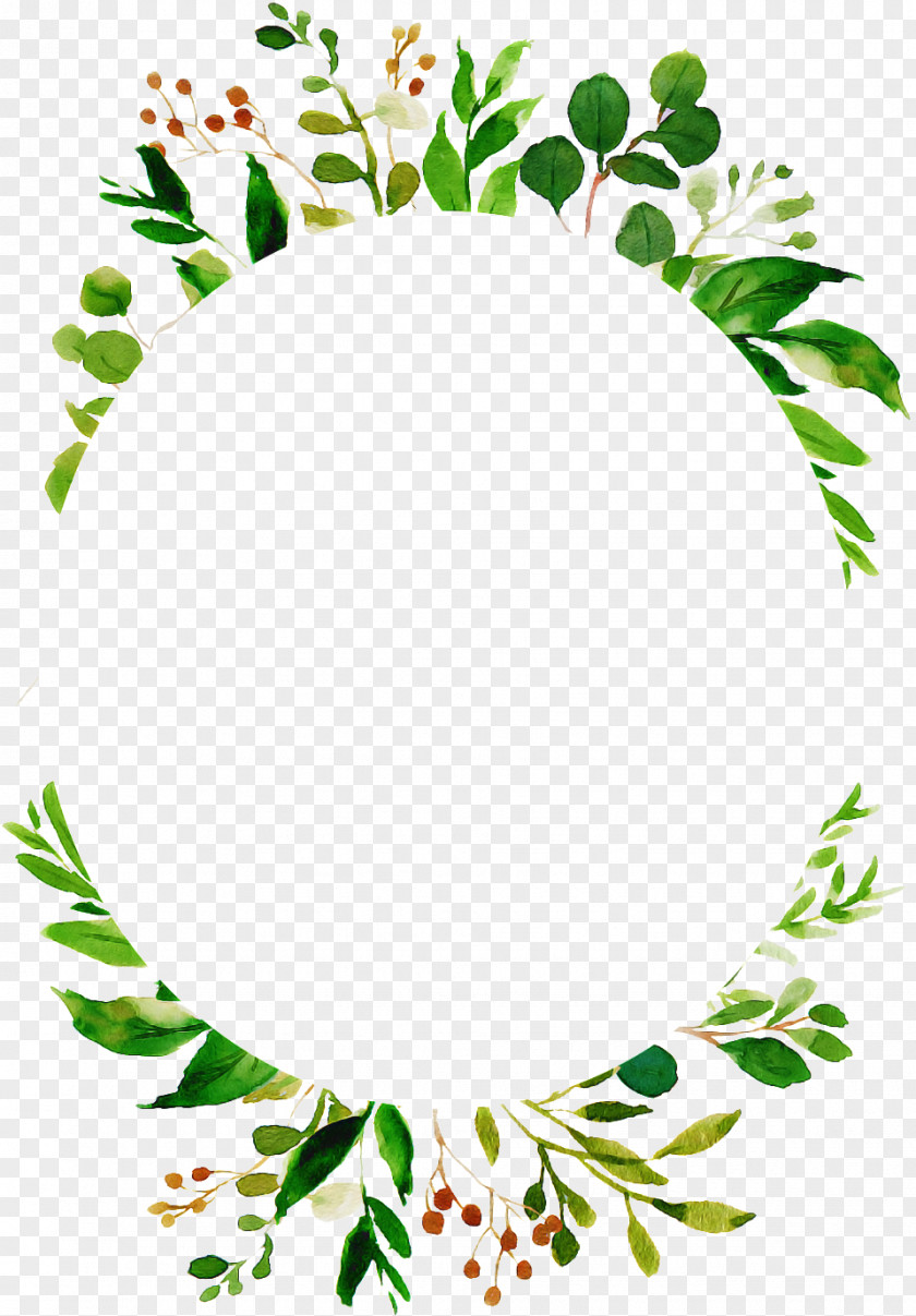 Floral Design PNG