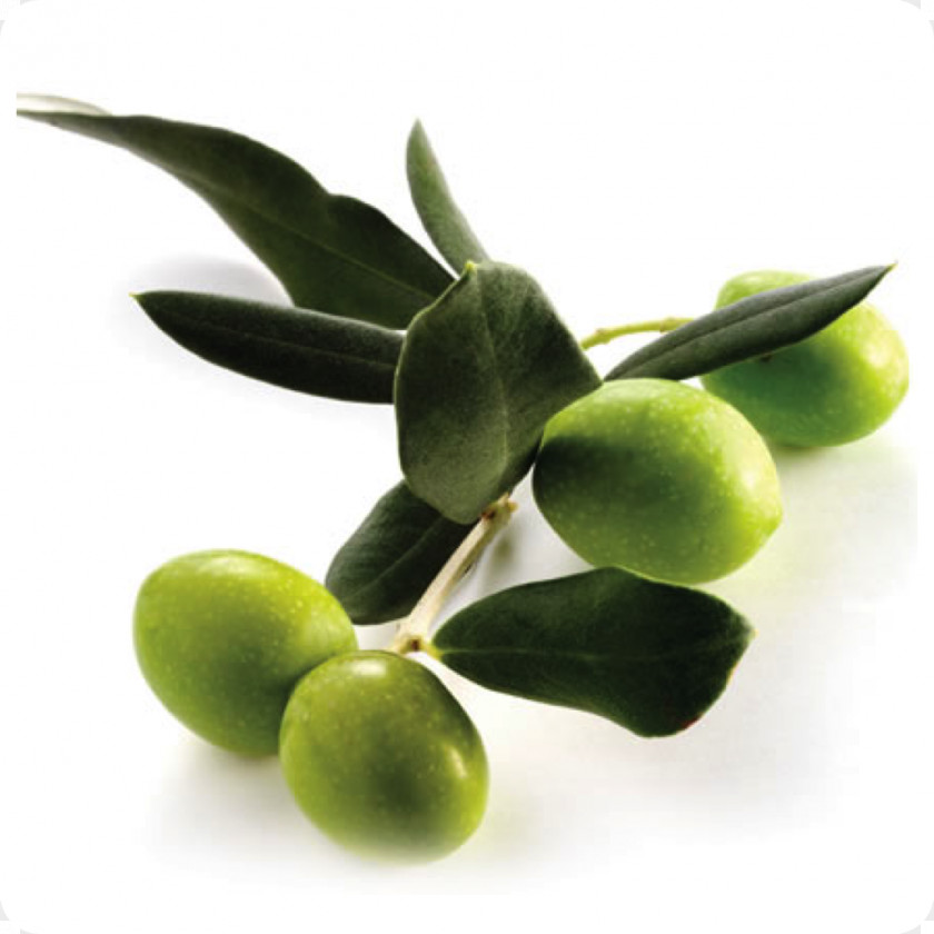 Olive Oil Alentejo Squalane PNG