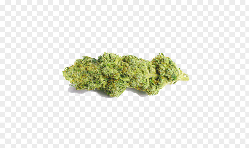 Outdoor Weed California Cannabidiol Haze Tetrahydrocannabinol Cannabis CBDexpress.at PNG