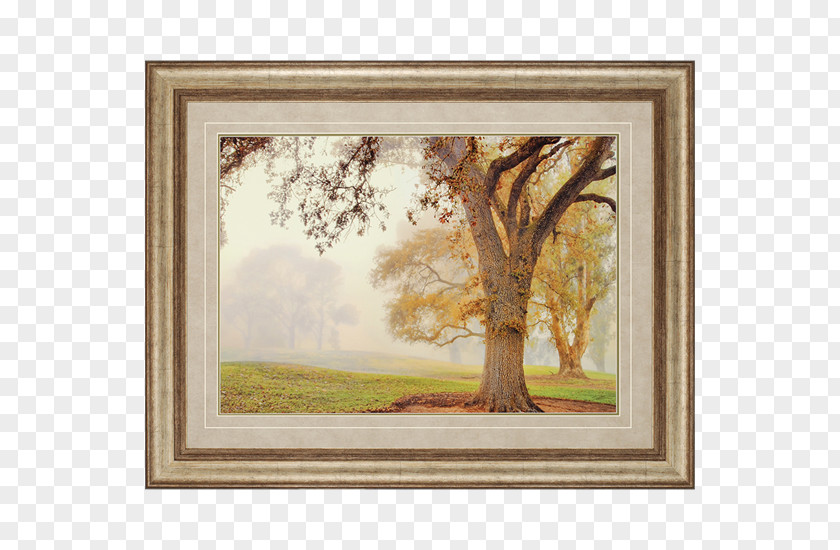 Painting Watercolor Picture Frames House Wall PNG