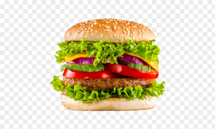 Quick As A Dog Can Lick Dish Hamburger Take-out Chicken Sandwich Veggie Burger Fried PNG