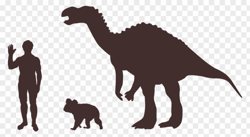 Cat Silhouette Tail Dinosaur Mammal PNG