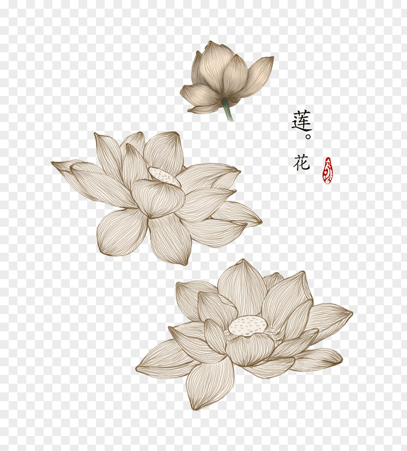 Chinese Style Hand-drawn Line Lilies PNG style hand-drawn line lilies clipart PNG