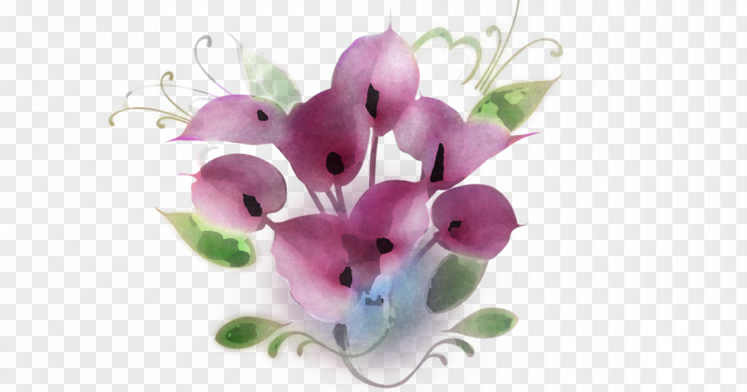 Flower Violet Pink Petal Plant PNG