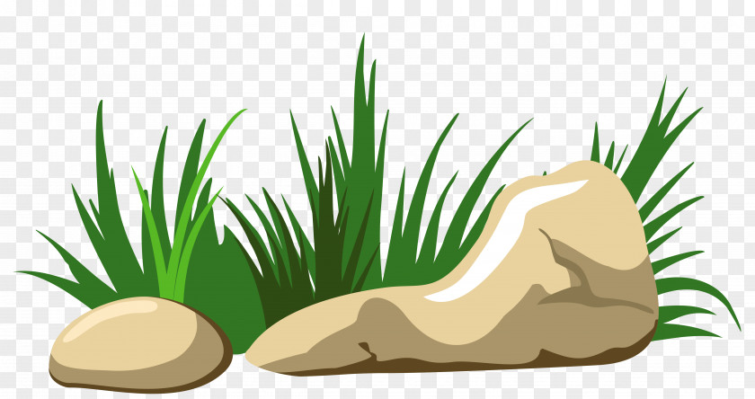 Grass And Stones Transparent Clipart Rock Clip Art PNG