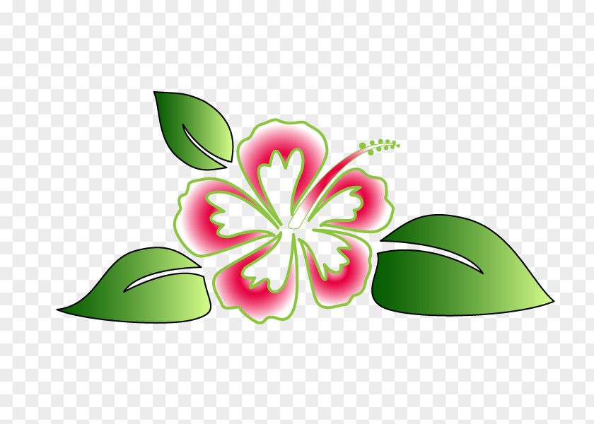 Hawaiian Flower Vector Hawaii Hou02bboponopono Luau Clip Art PNG
