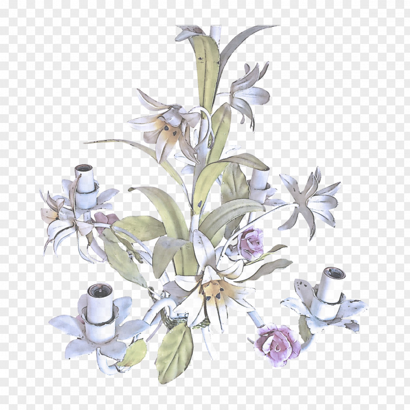 Lobelia Wildflower Flower Plant Flowering Lily Delphinium PNG