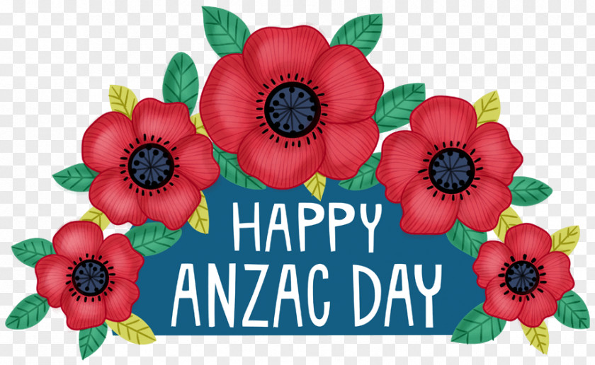Wildflower Coquelicot Anzac Day Flower PNG