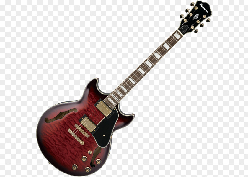 Semiacoustic Guitar PRS Guitars Custom 24 SE Electric PNG
