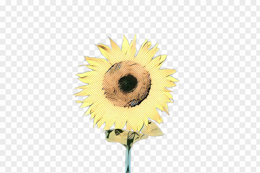 Sunflower Seed Gerbera PNG