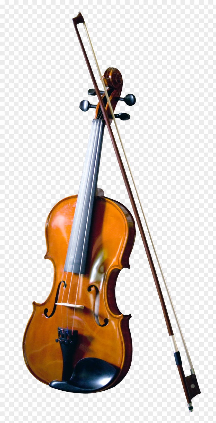 Violin Bass Double Musical Instrument PNG