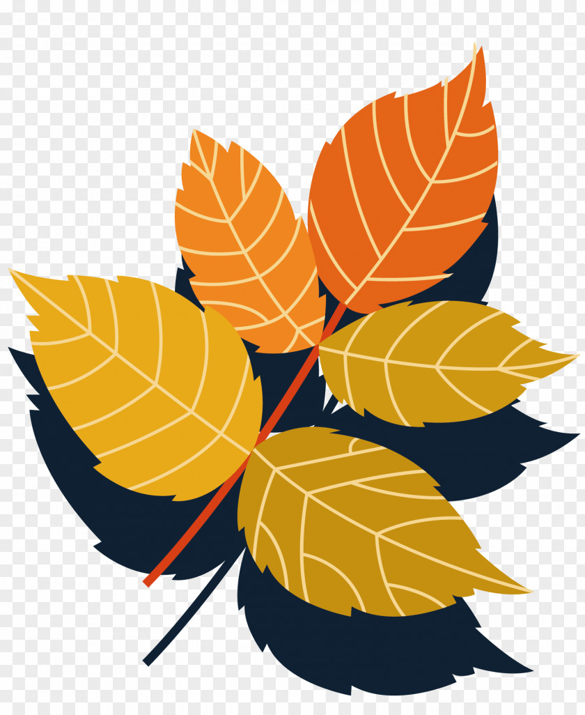 Autumn Leaves Collection Vector Material Leaf Branch PNG