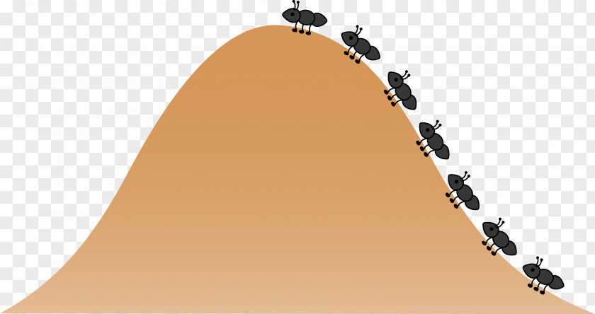 Cartoon Ants Cliparts Ant Free Content Clip Art PNG