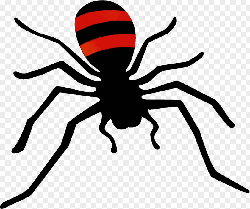 Pest Arachnid Spider Insect Black Line Widow PNG