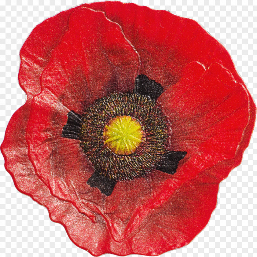 Poppy Remembrance Coin In Flanders Fields Armistice Day PNG