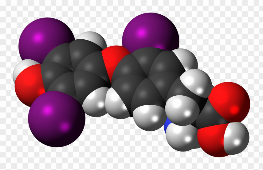 Reverse Triiodothyronine Isomer Atom Molecule PNG