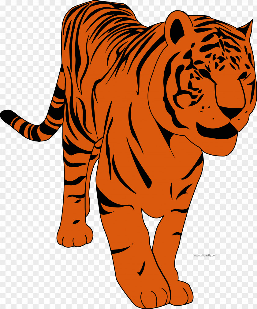 Tiger Clip Art Openclipart Image Illustration PNG