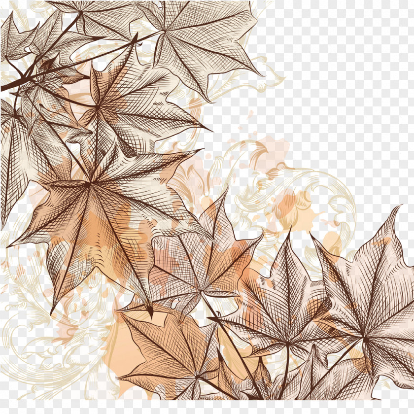 Hand-painted Maple Leaf Illustration PNG