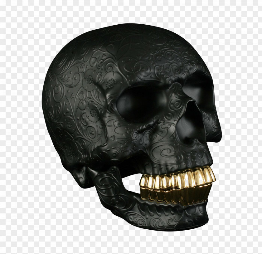 Skull Human Calavera Image Graphics PNG