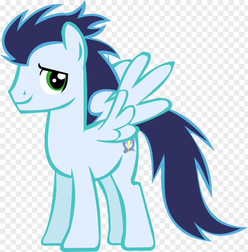 Soarin Pony Rainbow Dash Horse Fluttershy PNG