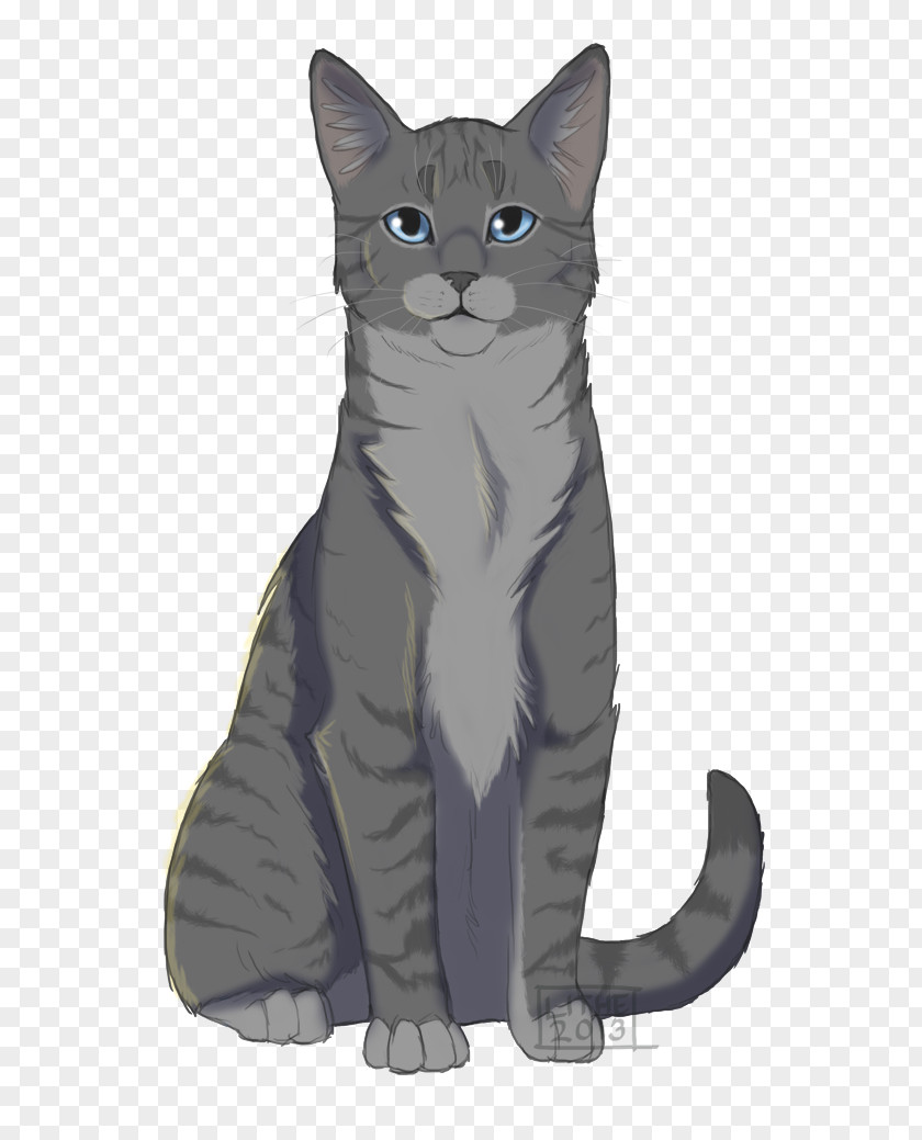 The Ancients Cat Warriors Firestar's Quest Ashfur Erin Hunter PNG