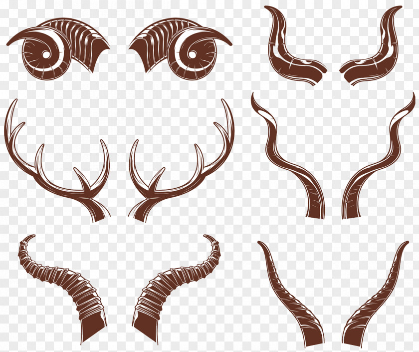 Wild Animal Head Angle Antelope Cartoon Drawing Illustration PNG