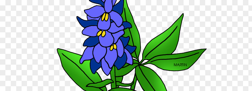 Bluebonnet Texas Lupinus Texensis Clip Art PNG