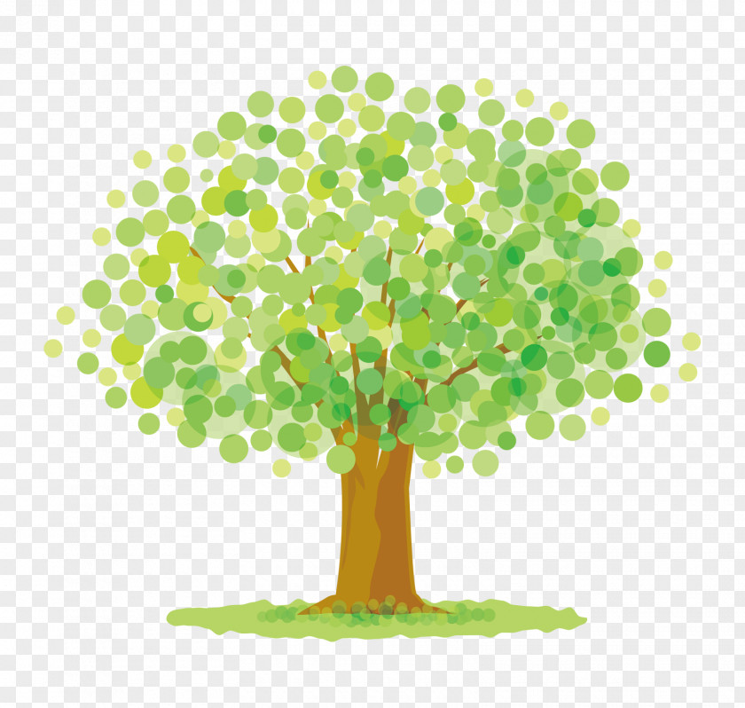 Flower Plant Stem Green Tree Leaf Woody PNG