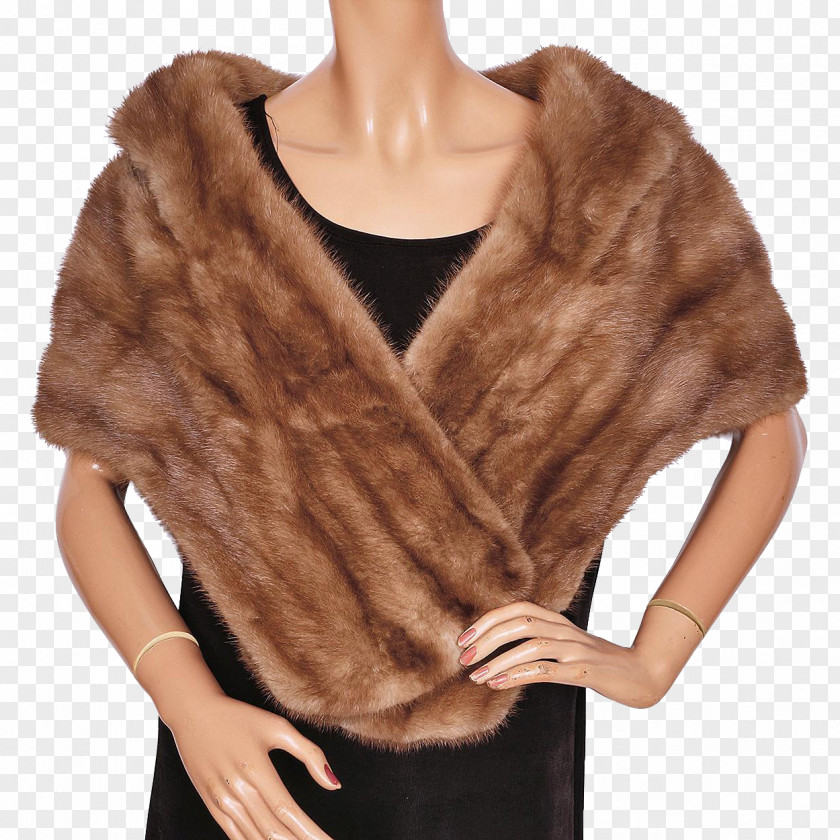 Fur Neck PNG