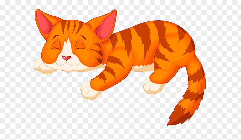 Kitten Cat Cartoon PNG