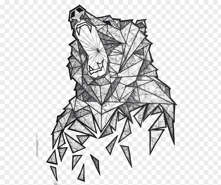 Line Wild Bears Polar Bear Geometry Drawing Illustration PNG