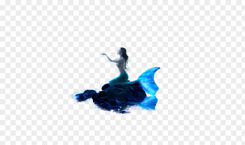 Mermaid Download PNG