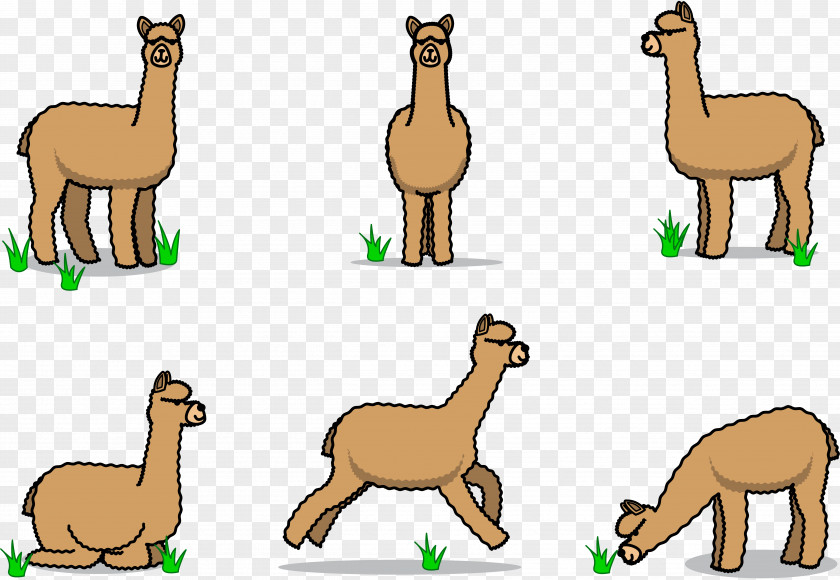 Stick Figure Alpaca PNG