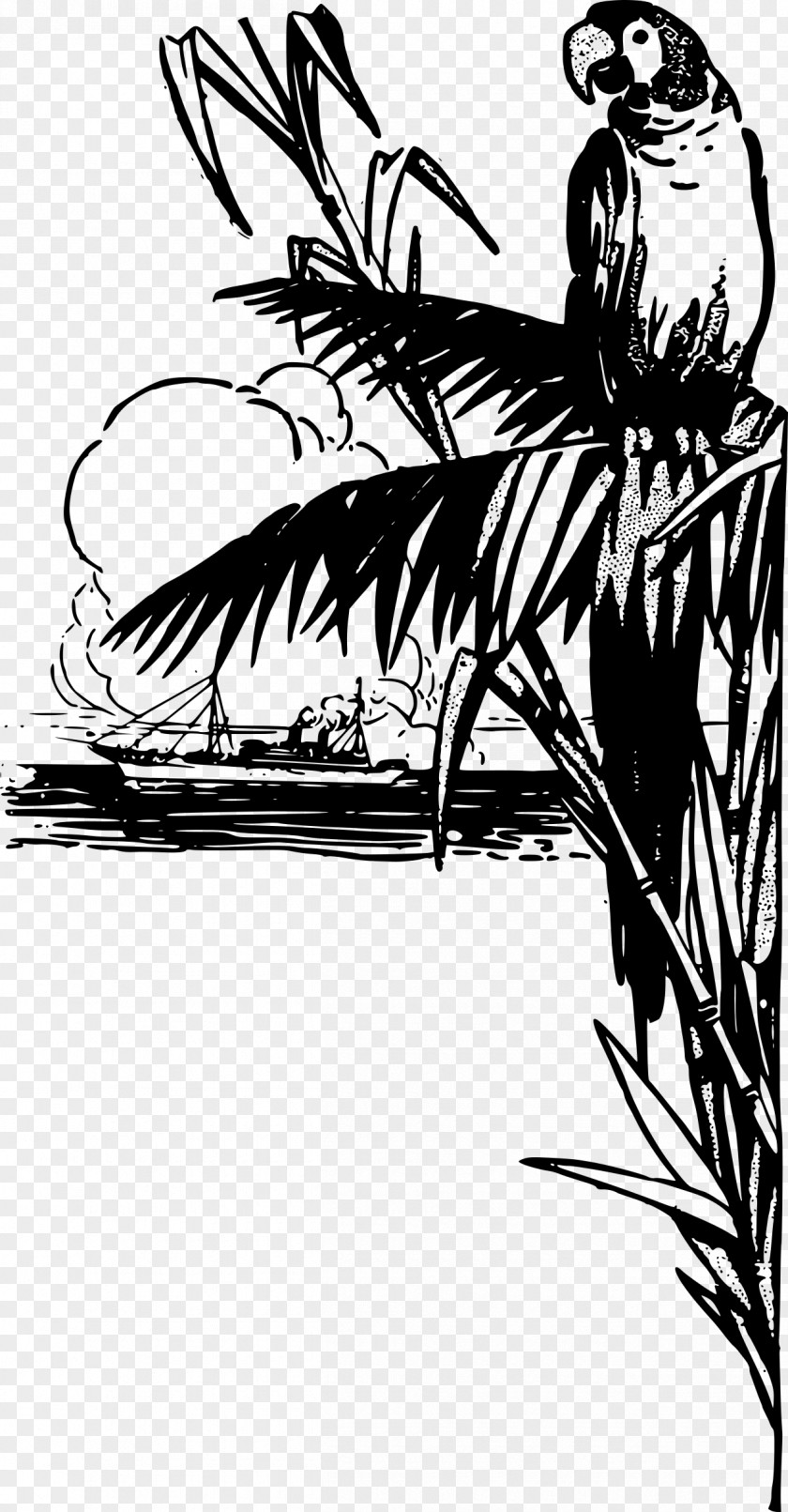 Tropical Parrot Bird Clip Art PNG