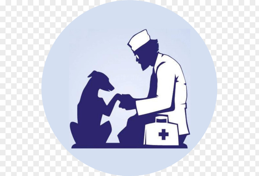 Cat Spasatel' Veterinarian Veterinary Medicine Castration PNG