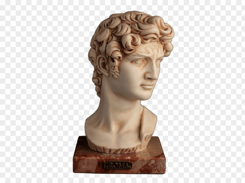 David Sculpture Bust Michelangelo Statue Marble PNG